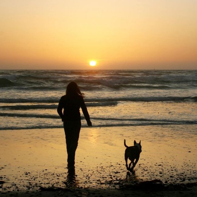 A person and a dog walk on a beach during sunset with waves in the background.
